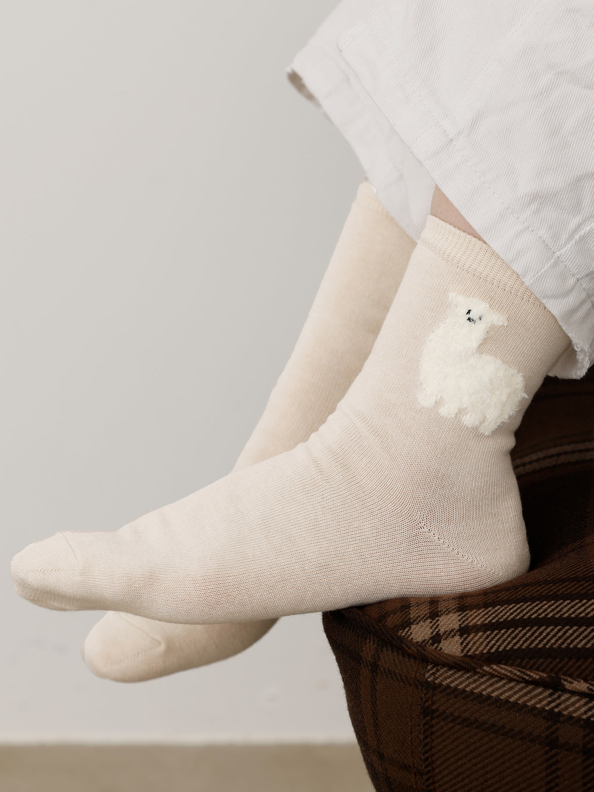 【おおきめサイズ】WEB限定 24.5-26.5cm / もふもふ動物ショートソックス