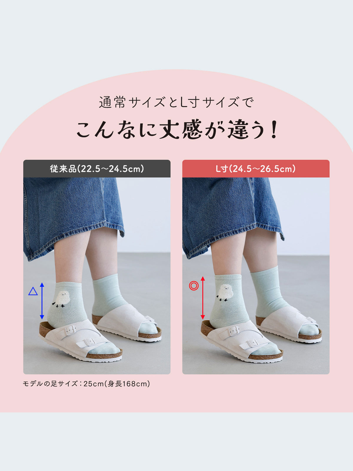 【おおきめサイズ】WEB限定 24.5-26.5cm / もふもふ動物ショートソックス