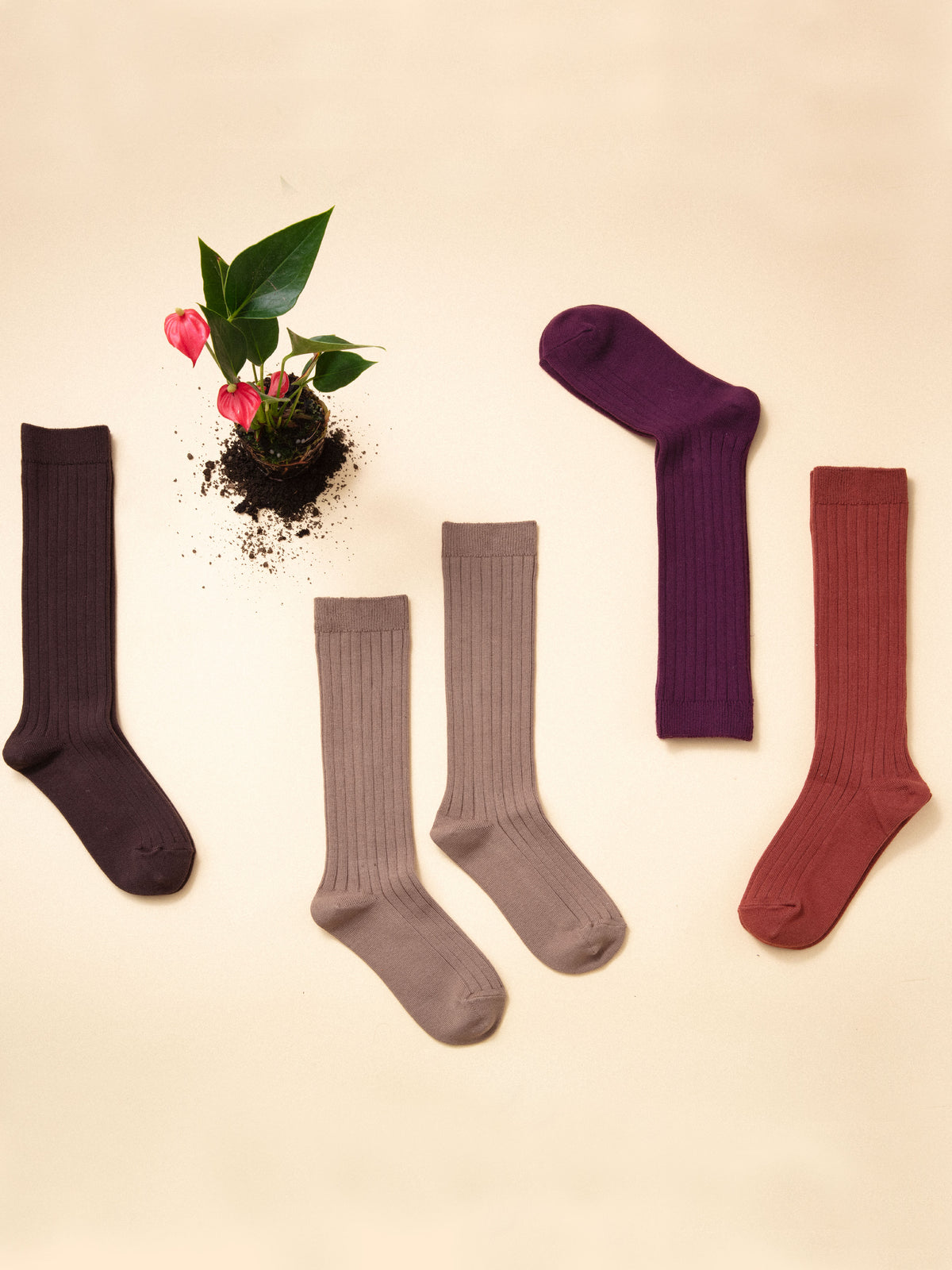 【キッズ】コットンリブハイソックス / 16-18cm