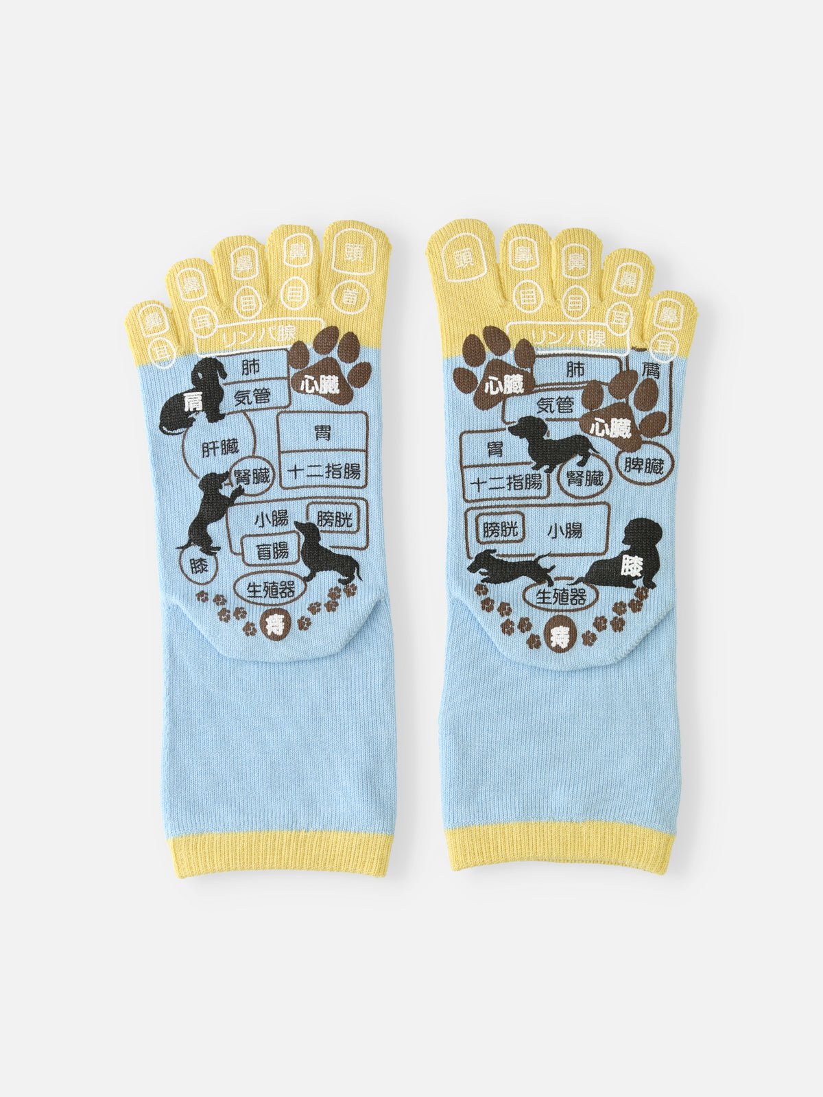【WEB限定】五本指ツボ押し犬プリントソックスギフトセット / 22-24cm