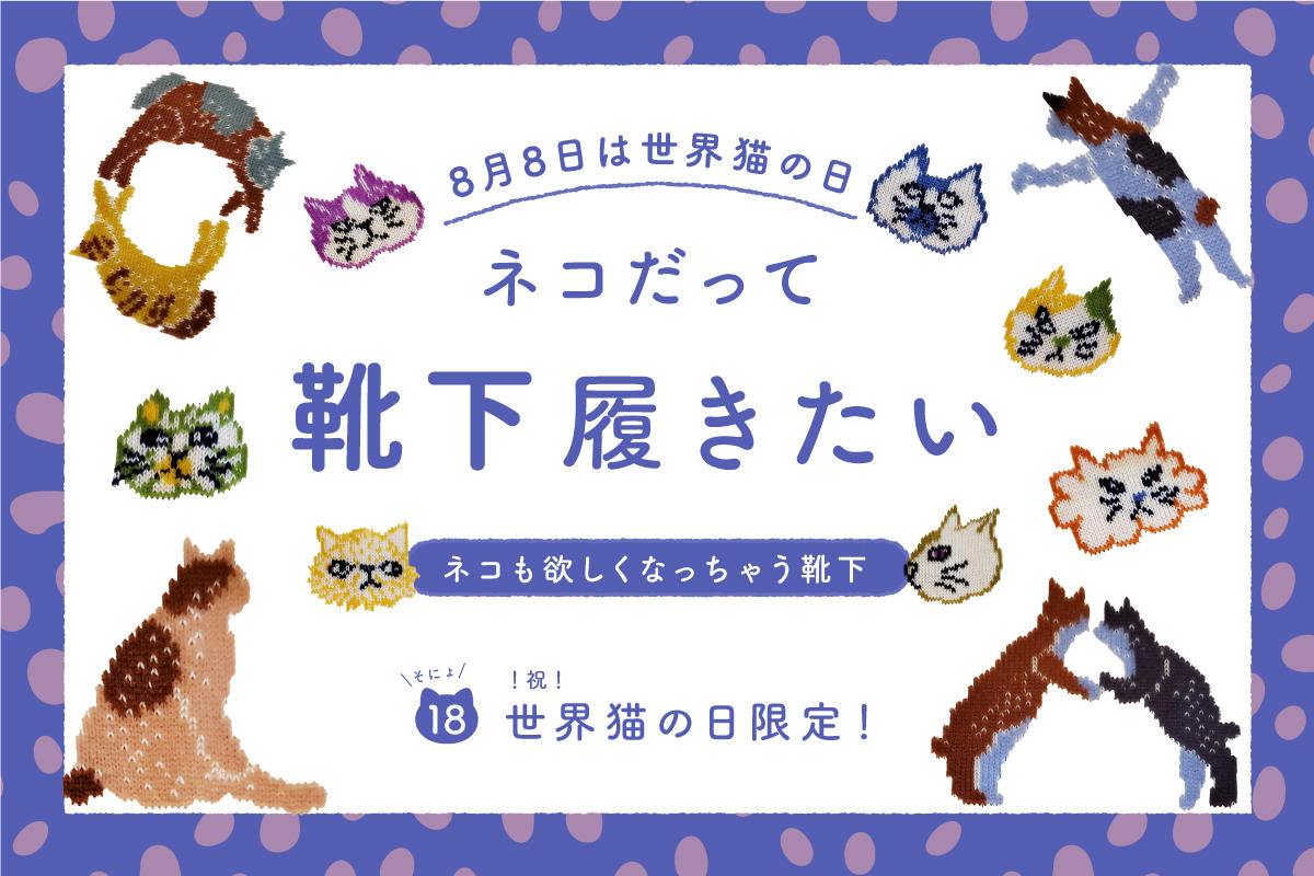ネコだって靴下履きたい vol.18