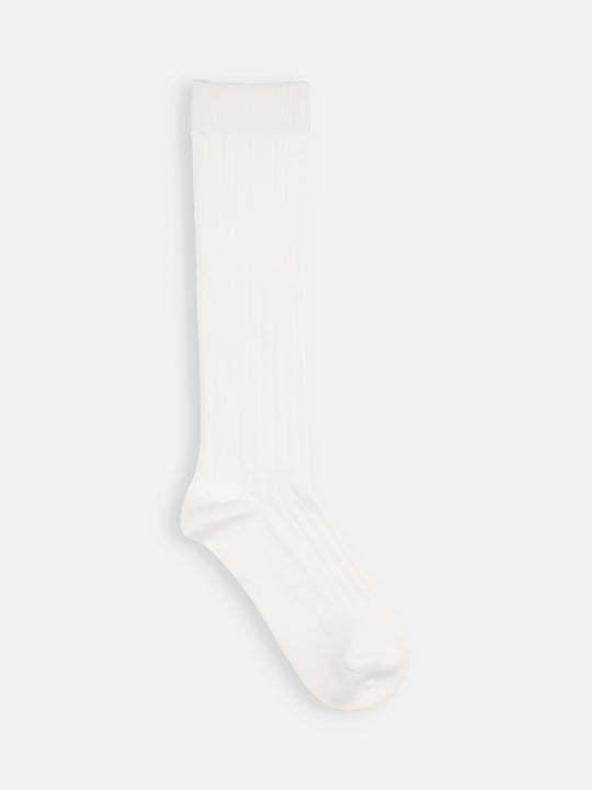【キッズ】コットンリブハイソックス / 16-18cm