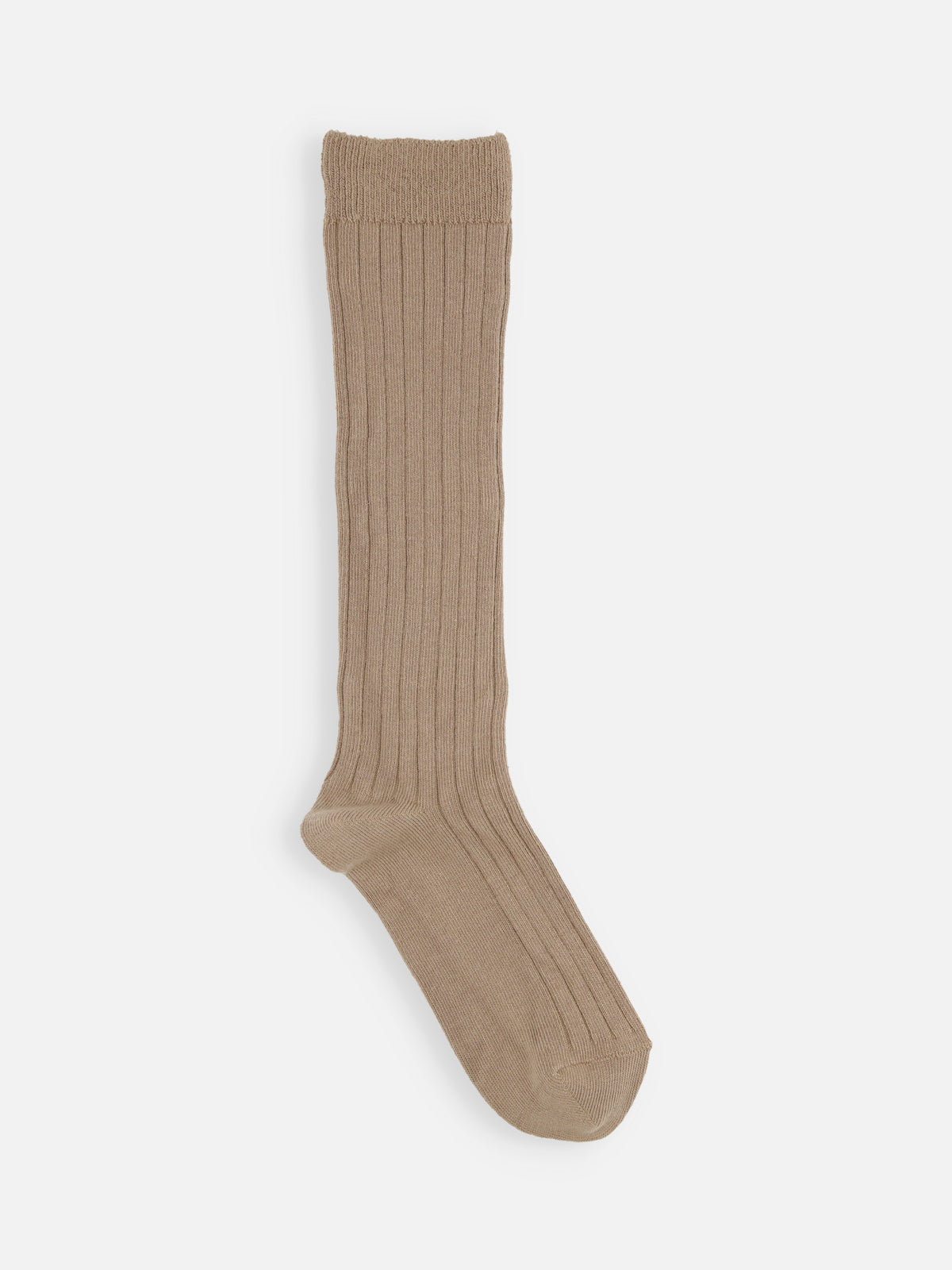 【キッズ】コットンリブハイソックス / 16-18cm - モカブラウン