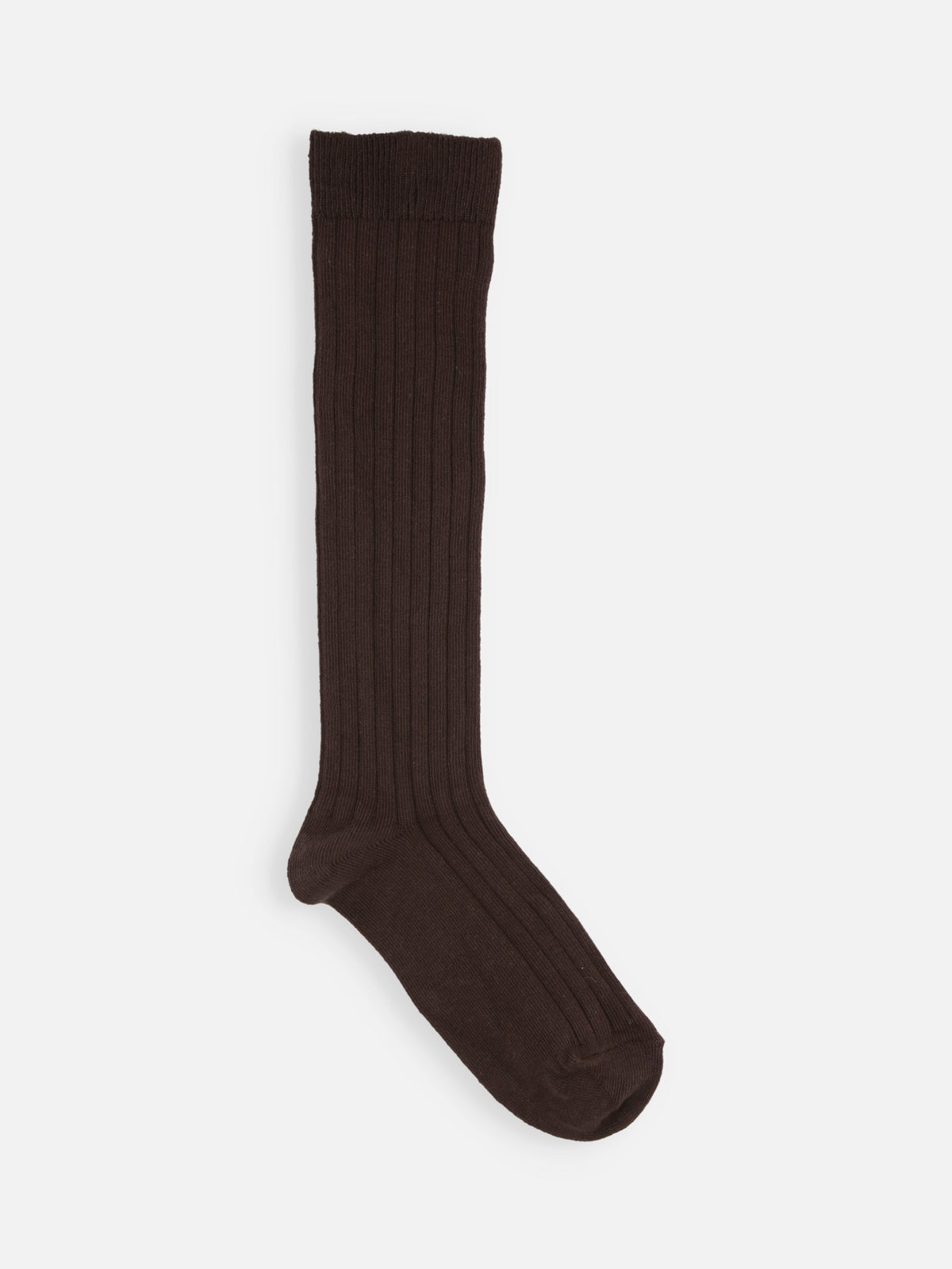 【キッズ】コットンリブハイソックス / 16-18cm - チョコレートブラウン