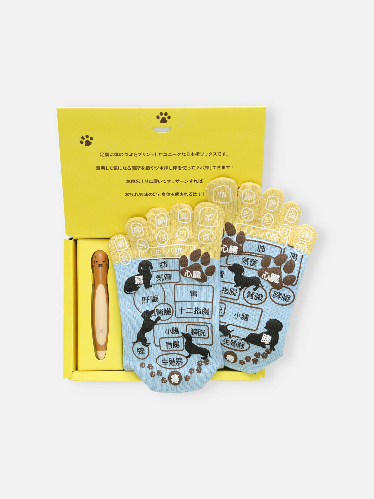 【WEB限定】五本指ツボ押し犬プリントソックスギフトセット / 22-24cm