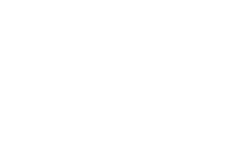 写真レポート